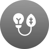 Green Energy Options